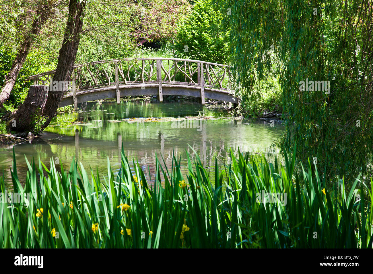 A large ornamental pond or small lake with a pretty rustic wooden bridge in an English country garden in summer Stock Photo