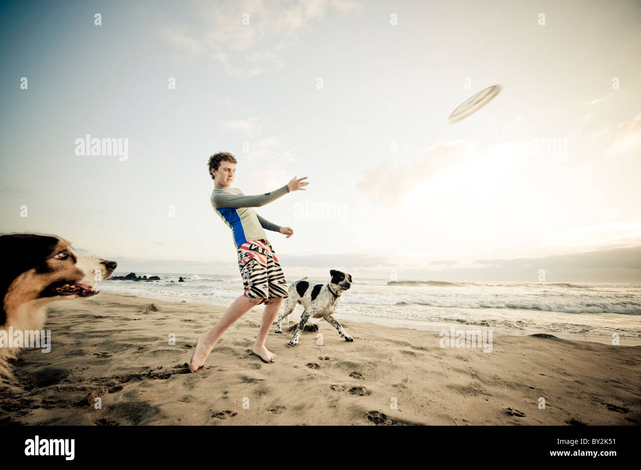 A teenage boy tosses a Frisbee for two eager dogs on a quiet beach in Mexico. Stock Photo
