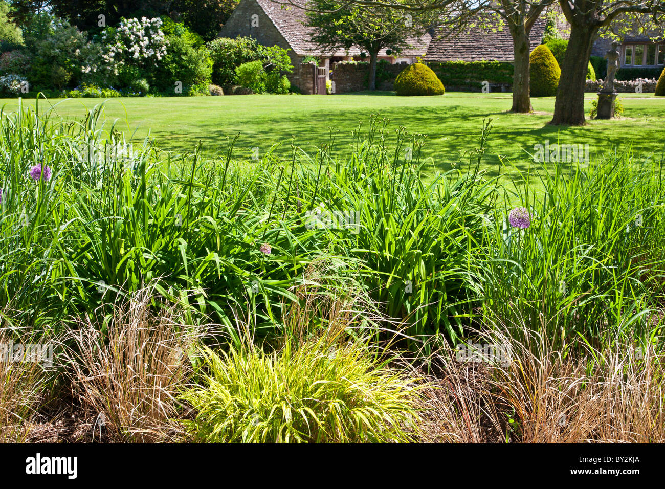 A neatly manicured lawn in an English country garden in summer with different species of ornamental grasses in the foreground Stock Photo