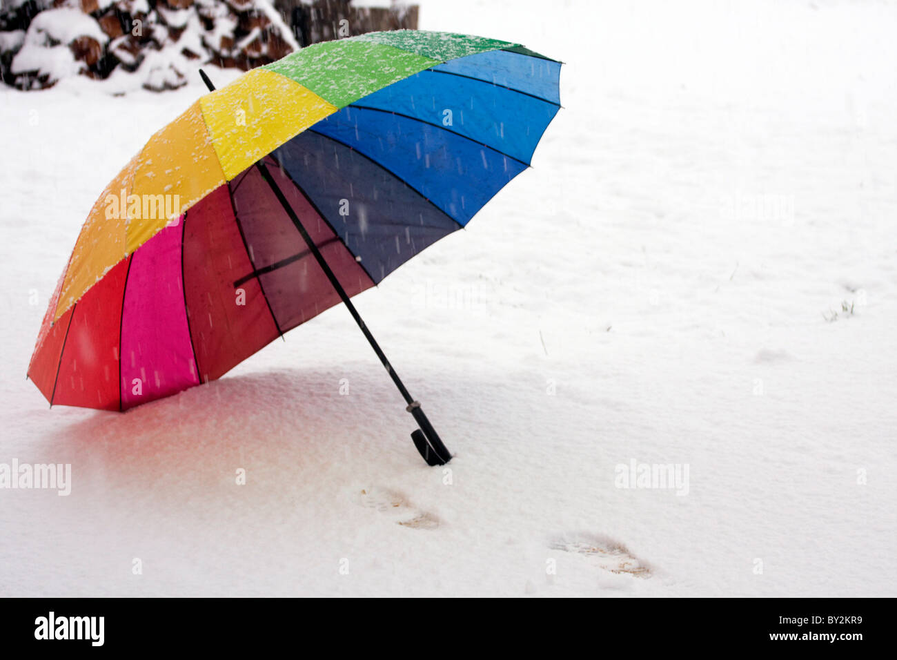 Opened umbrella on the ground in the winter blizzard. Stock Photo