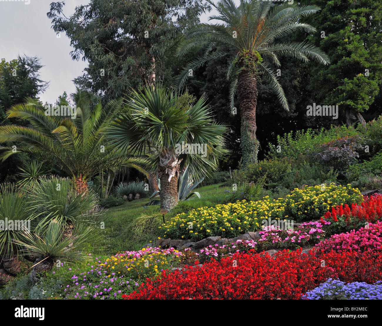 Wonderful bright flowerbeds in an exotic park. Lake Como, Villa Carlotta Stock Photo