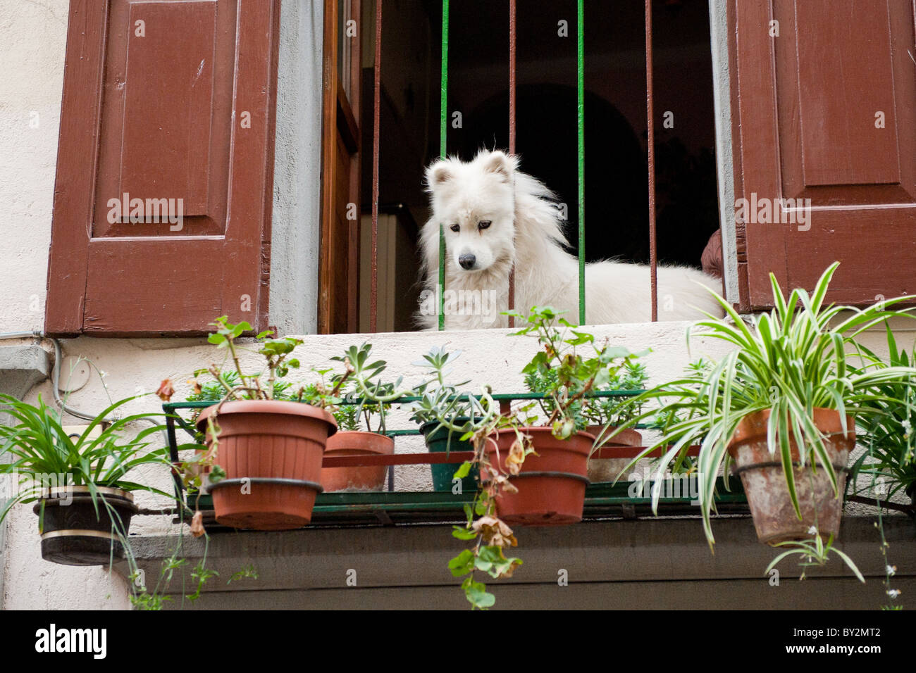 Italian balcony hires stock photography and images Alamy