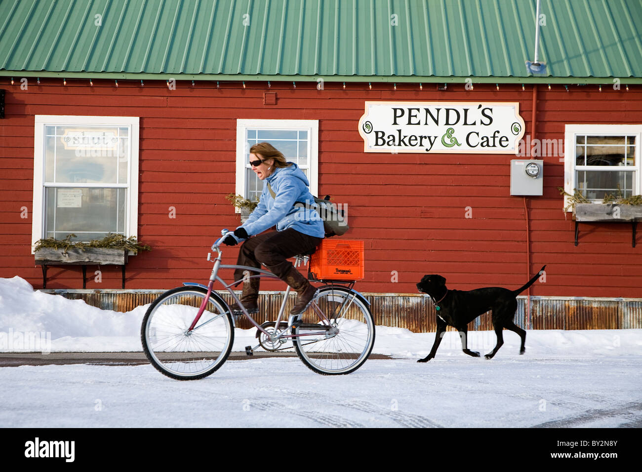 A female bikes with her dog in the winter through the town of Driggs Idaho after a stop at a small local bakery. Stock Photo