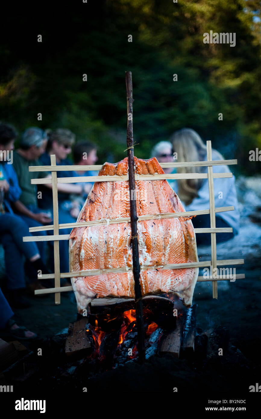 Salmon cooks in the native people style over an open flame. Stock Photo