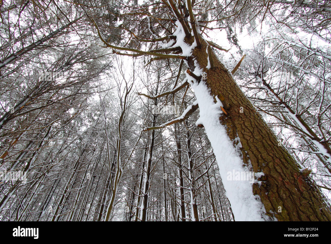 Rock cut state park hires stock photography and images Alamy