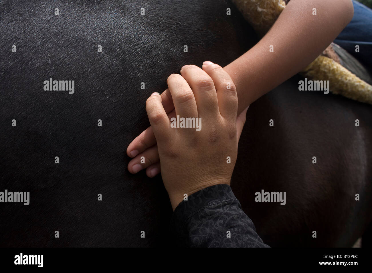 An instructor helps a child touch the skin of a horse during a horse therapy session in Mexico City Stock Photo