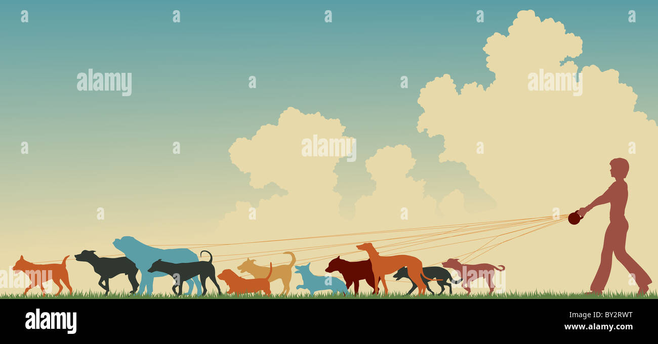 Colorful illustrated silhouette of a woman walking many dogs with copy