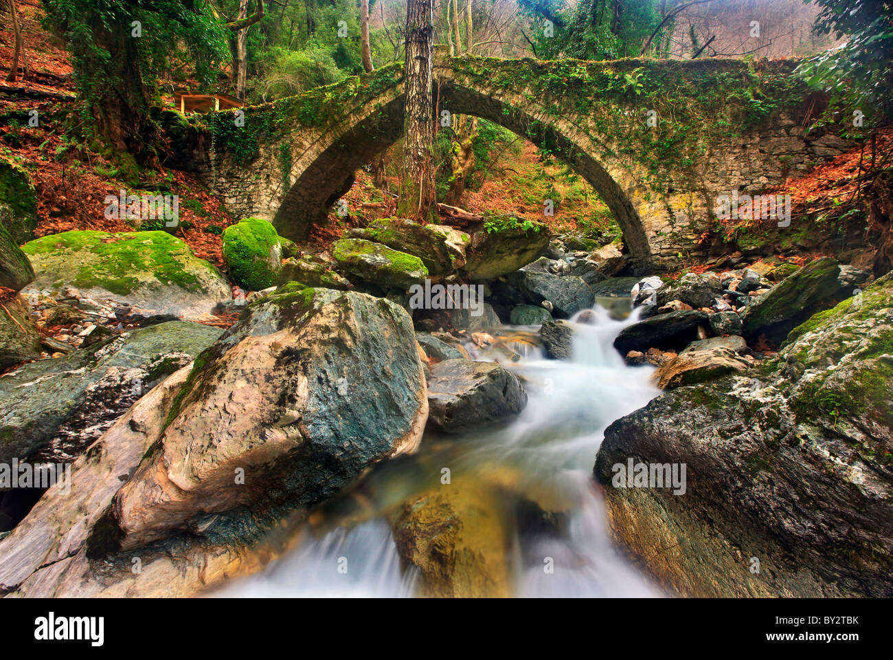 The old stone bridge (constructed in 1787) close to Tsangarada village, Pelion mountain, Magnisia, Greece Stock Photo