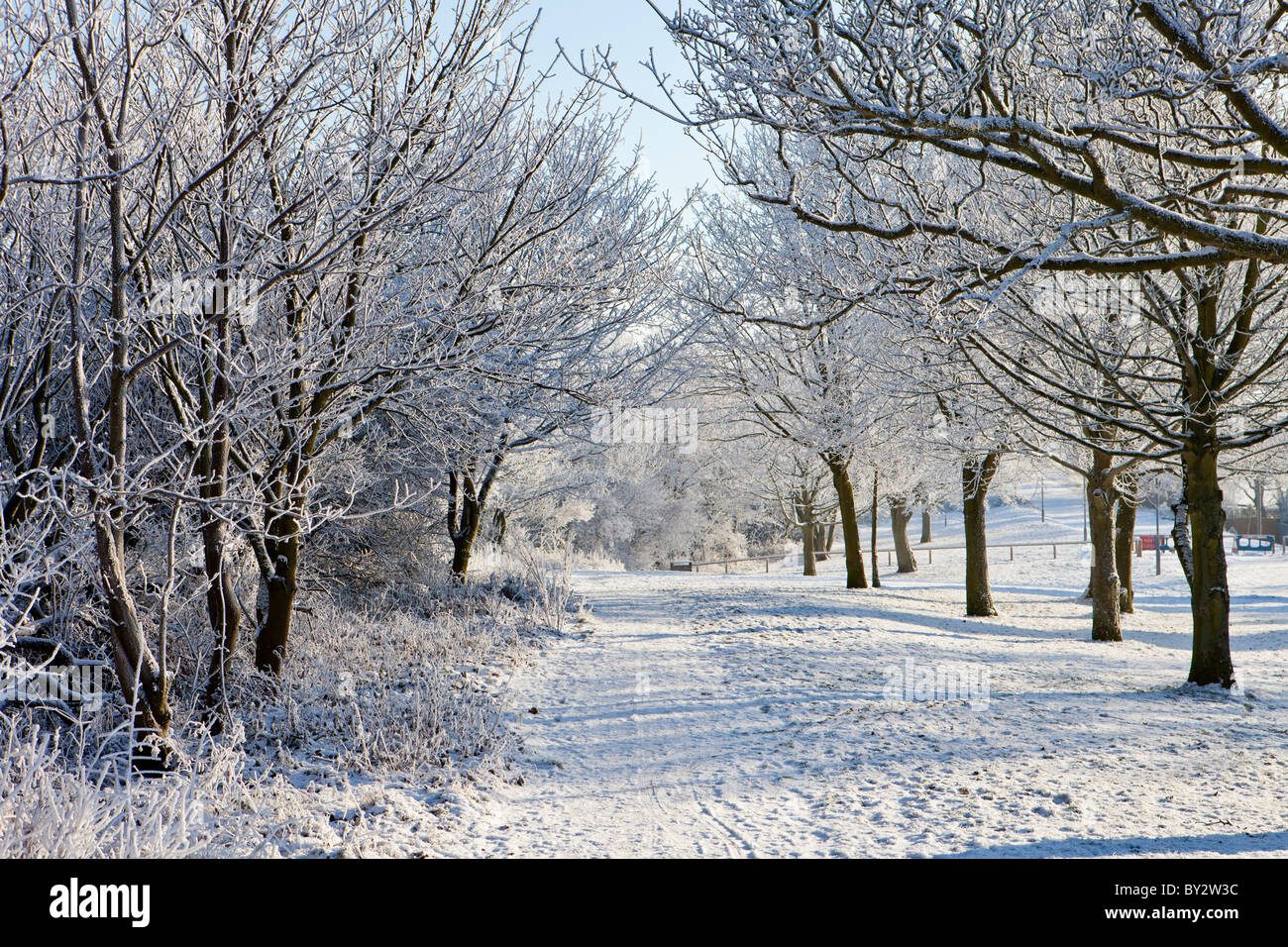 Winter scene, 2010 Stock Photo - Alamy