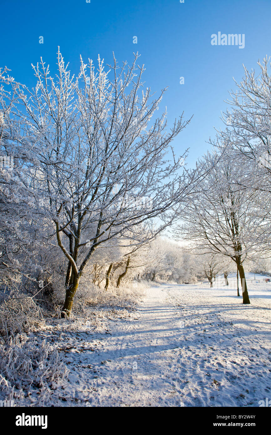 Winter scene, 2010 Stock Photo - Alamy