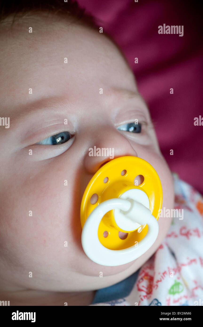 Five week old baby with pacifier (dummy Stock Photo Alamy