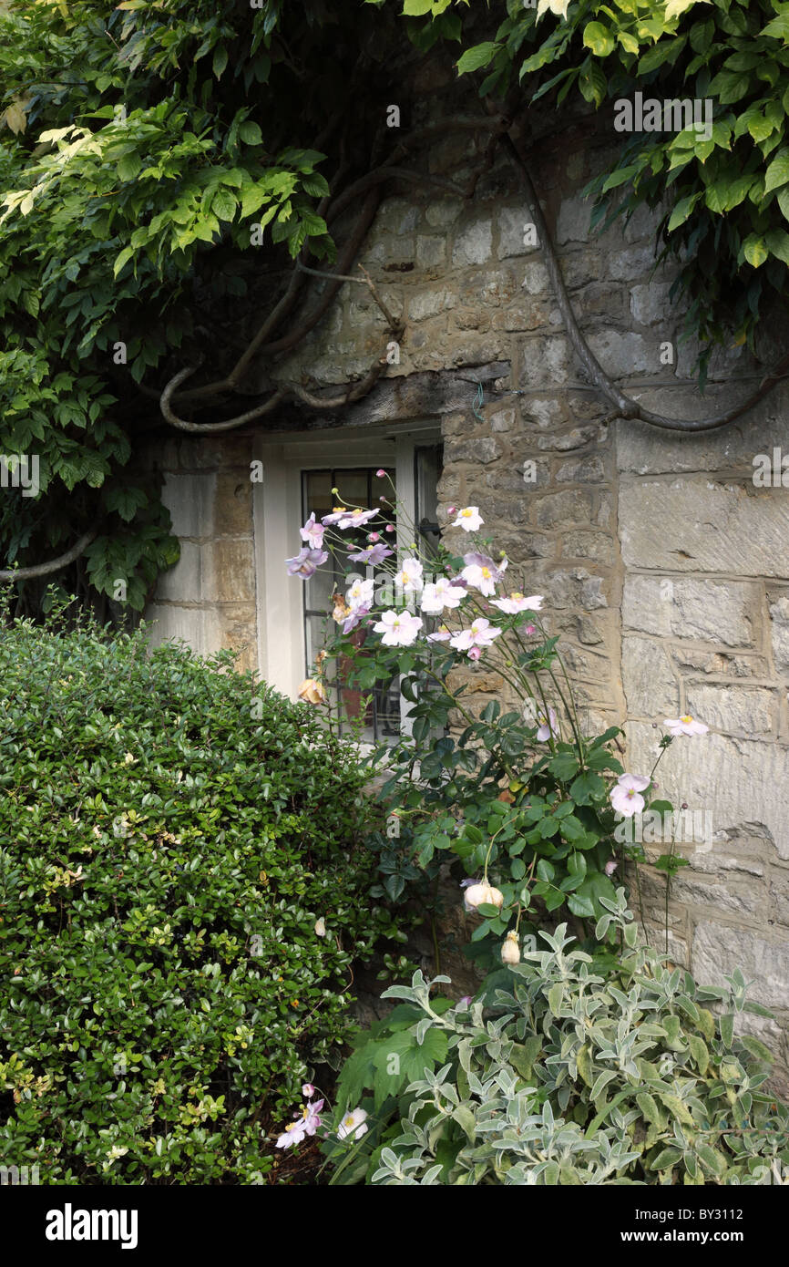 Flowers and shrubs growing around a cottage window in Castle Combe, Wiltshire, England Stock Photo
