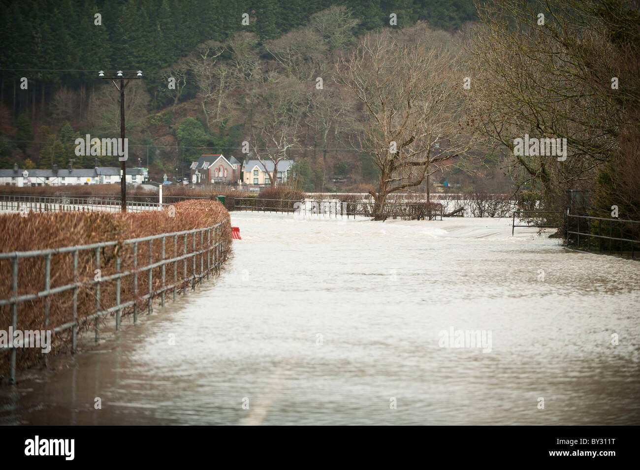 Flooding on the River Dyfi at Machynlleth, Powys, Mid wales UK Jan 15 2011. Stock Photo