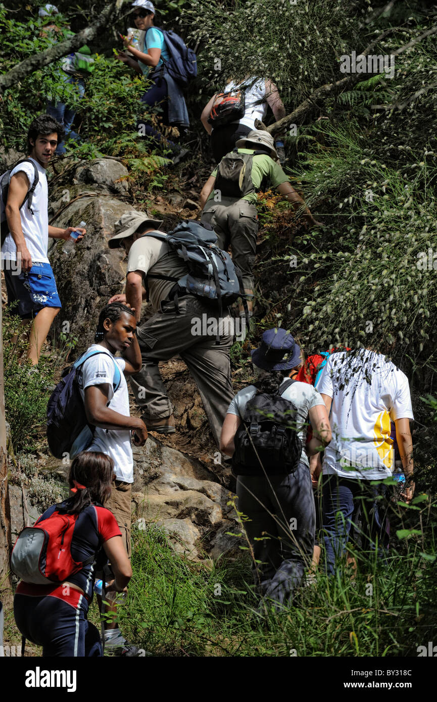 Hikers on a trail up hill Stock Photo - Alamy