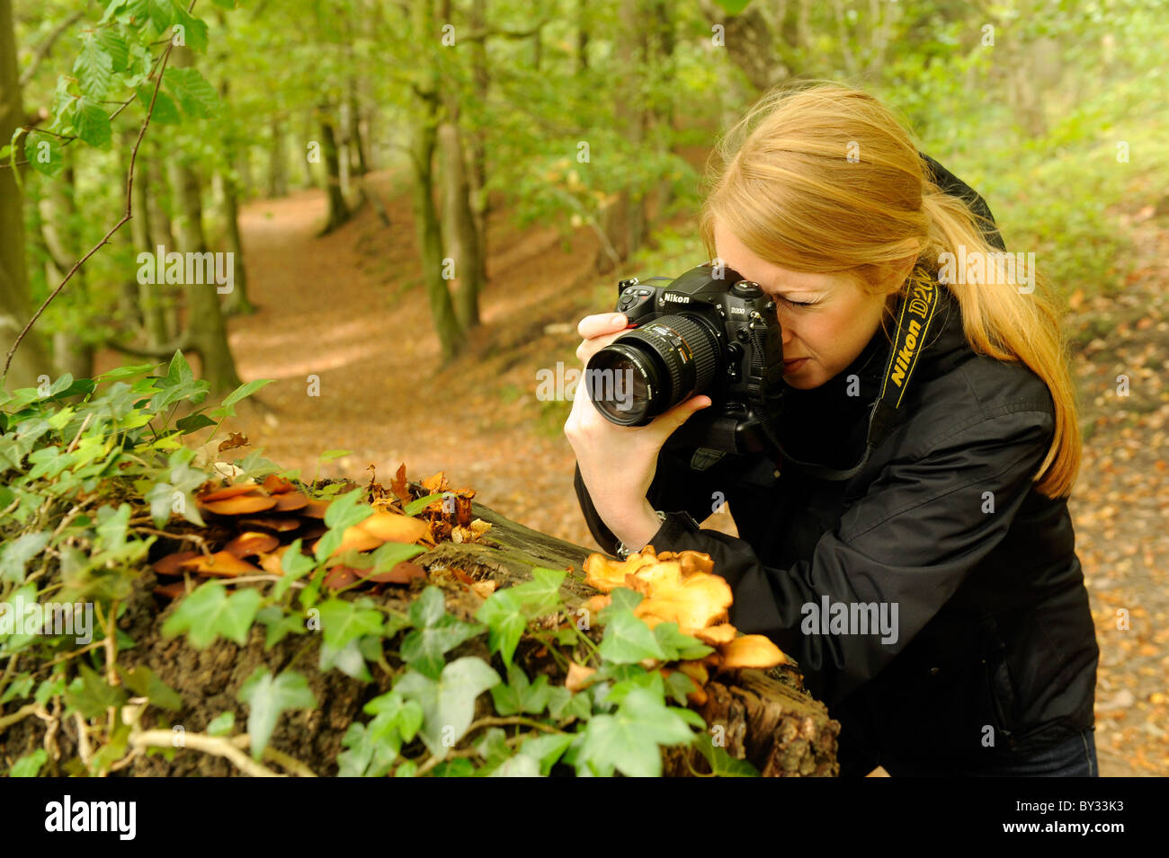 A girl using a Nikon digital single lens reflex DSLR camera to take a close up macro photography of fungi Stock Photo