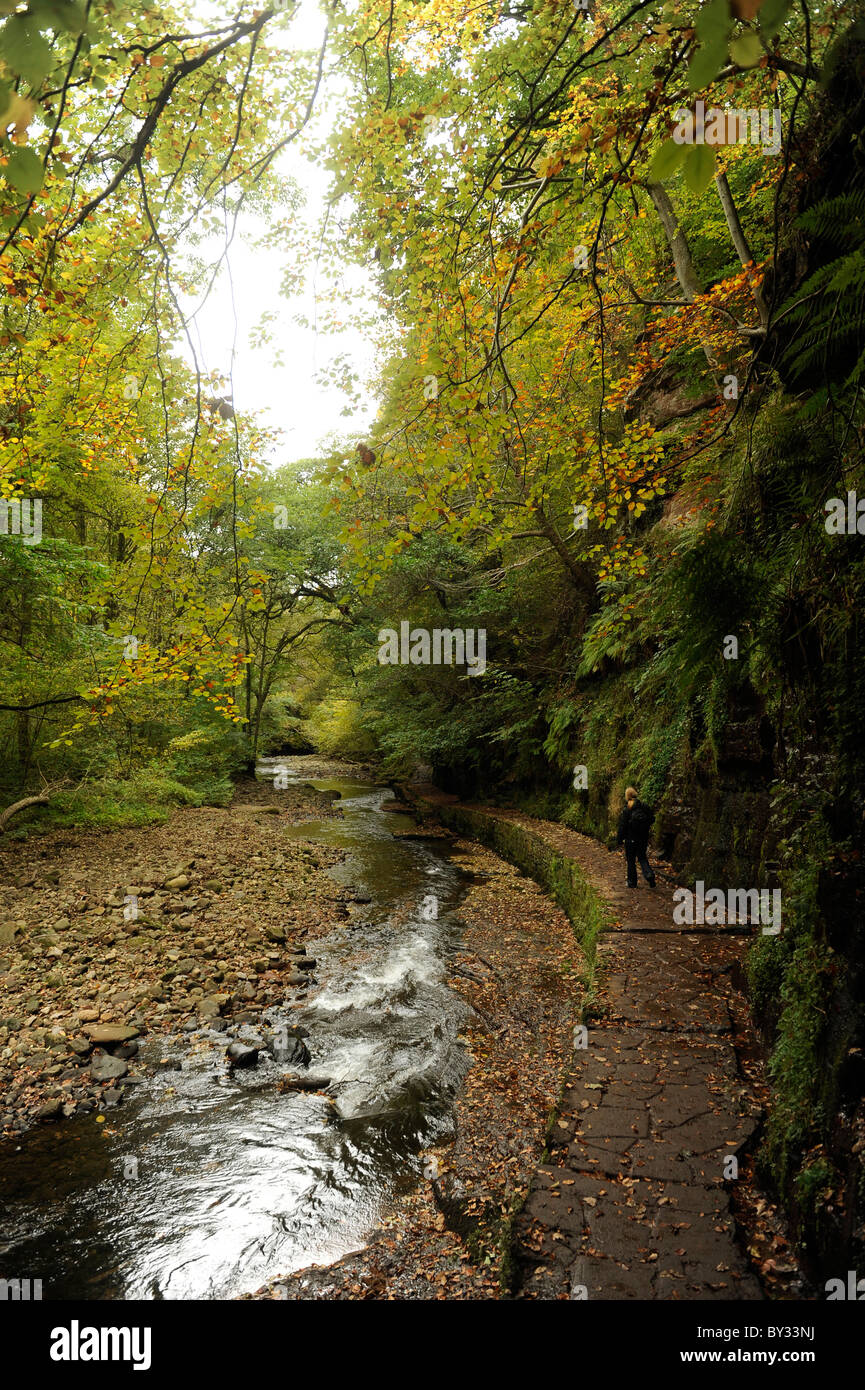 The River Gelt runs through Gelt Woods near Brampton, Cumbria Stock