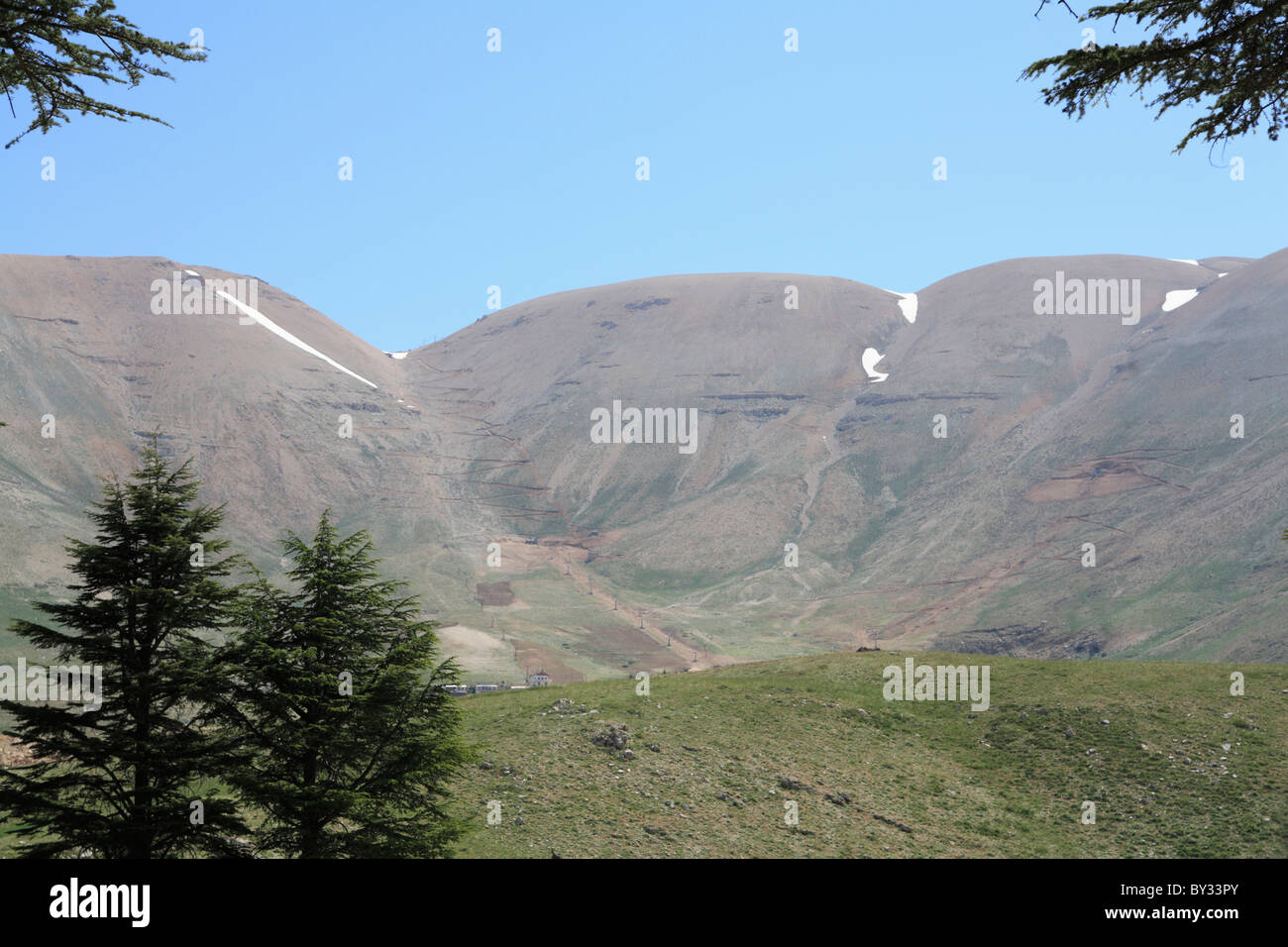 The Cedar Trees of Bcharre, Qadisha Valley, Mount Lebanon Range