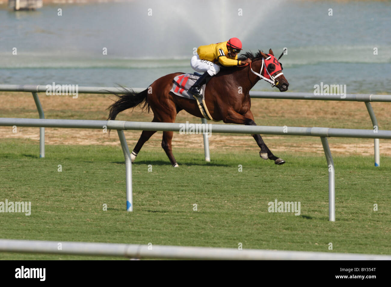 Jockey Malcolm Franklin racing towards the finish line at Colonial