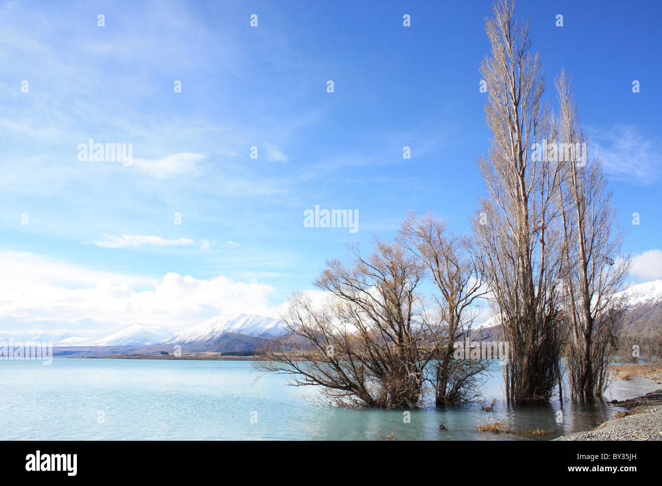 Lake Tekapo, South Island, New Zealand Stock Photo - Alamy