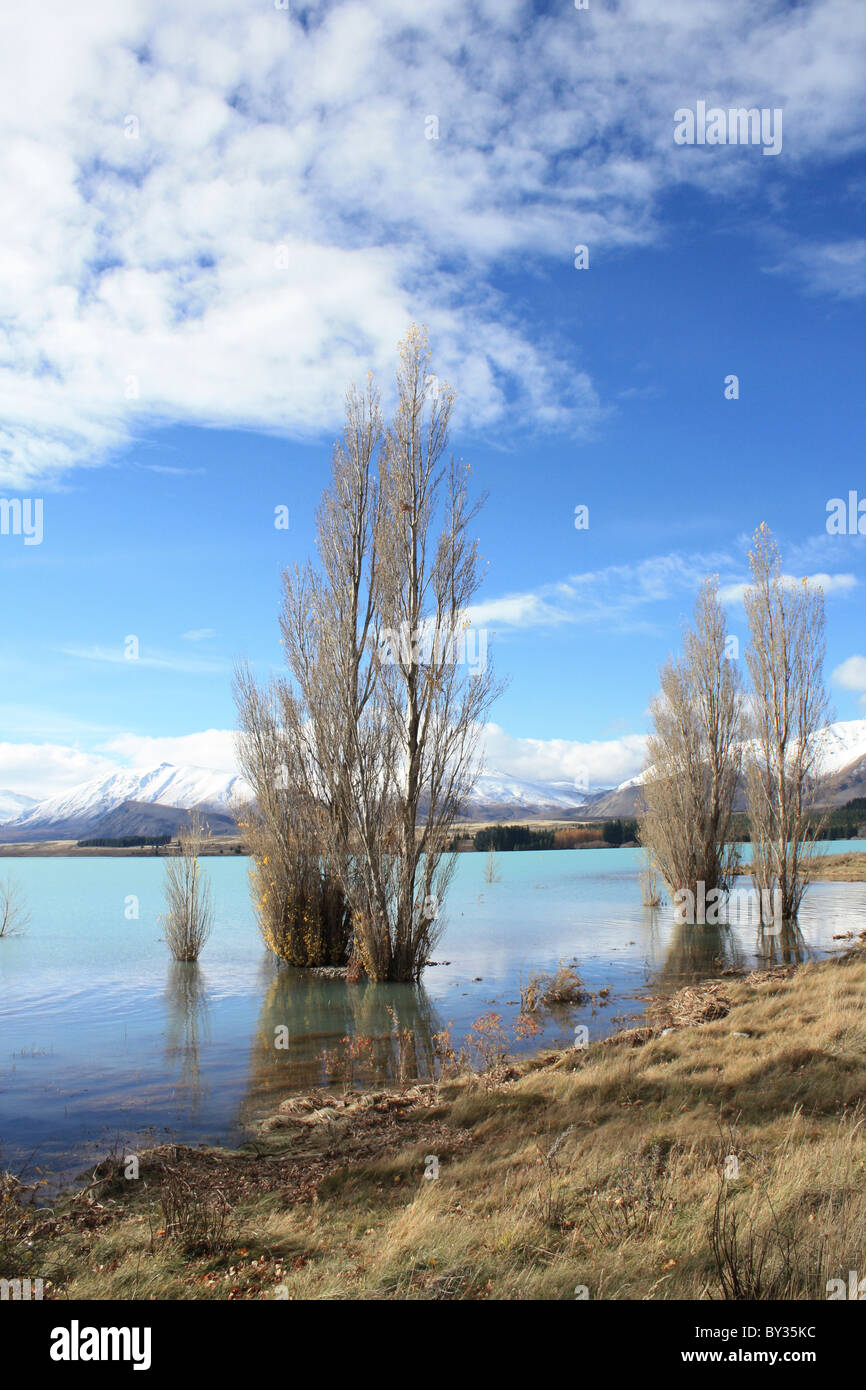 Lake Tekapo, South Island, New Zealand Stock Photo - Alamy