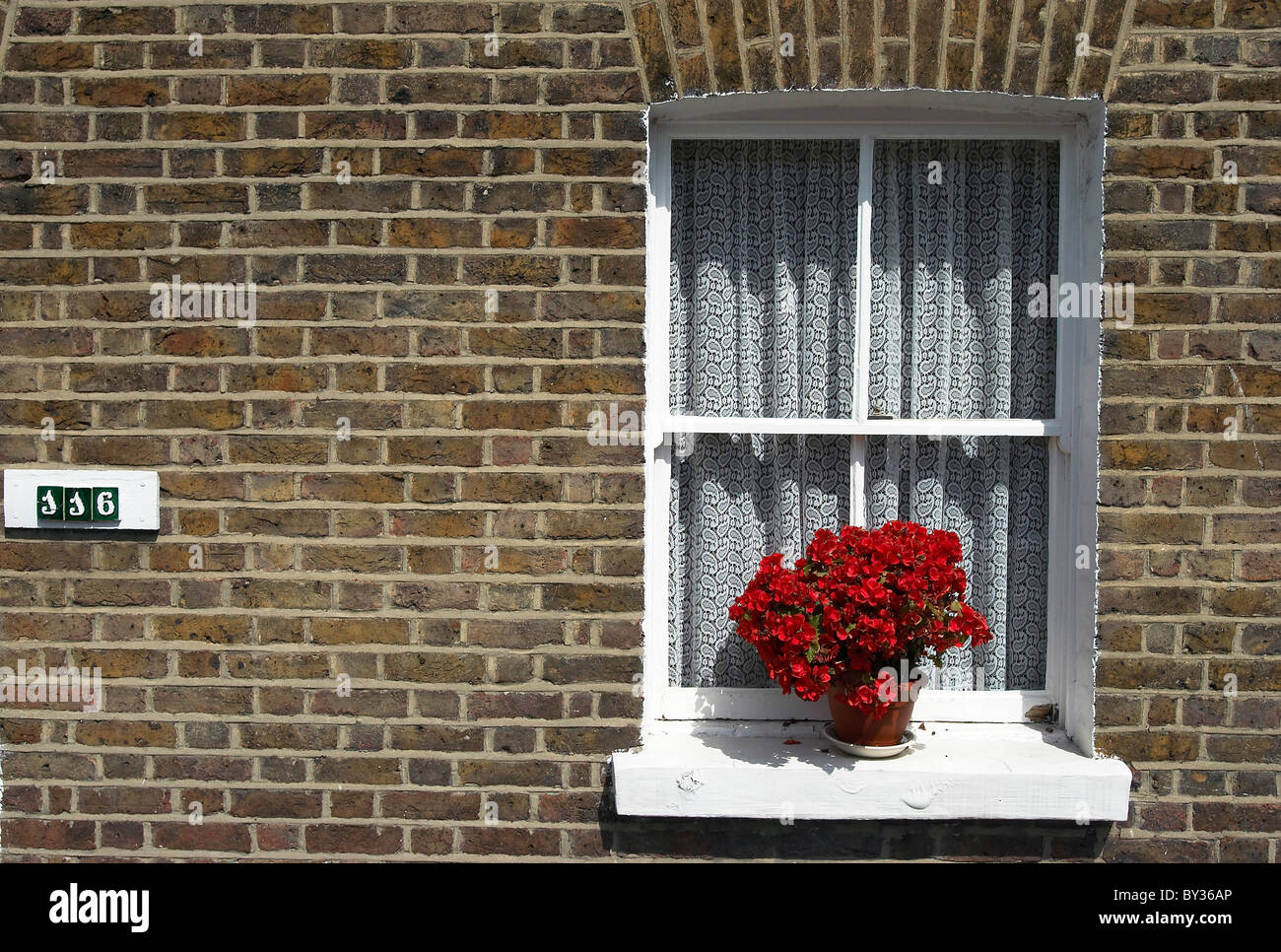 Flower pot on a window sill Stock Photo - Alamy