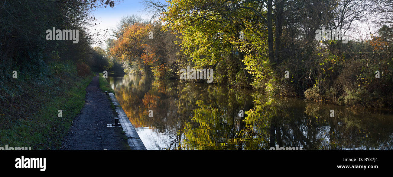 The banks of a river, with bushes and trees Stock Photo - Alamy