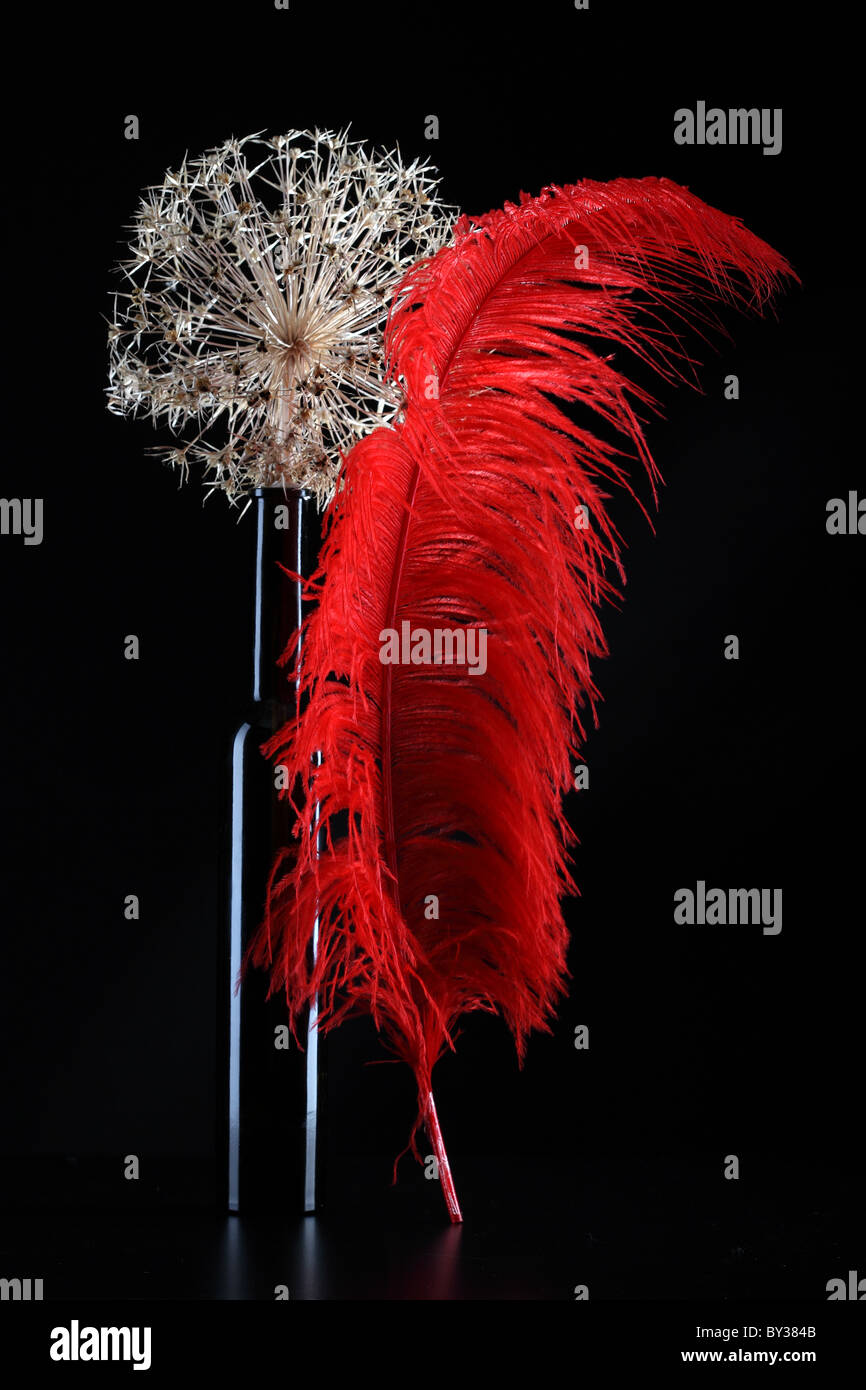 red feather dray prickle flower black vase Stock Photo
