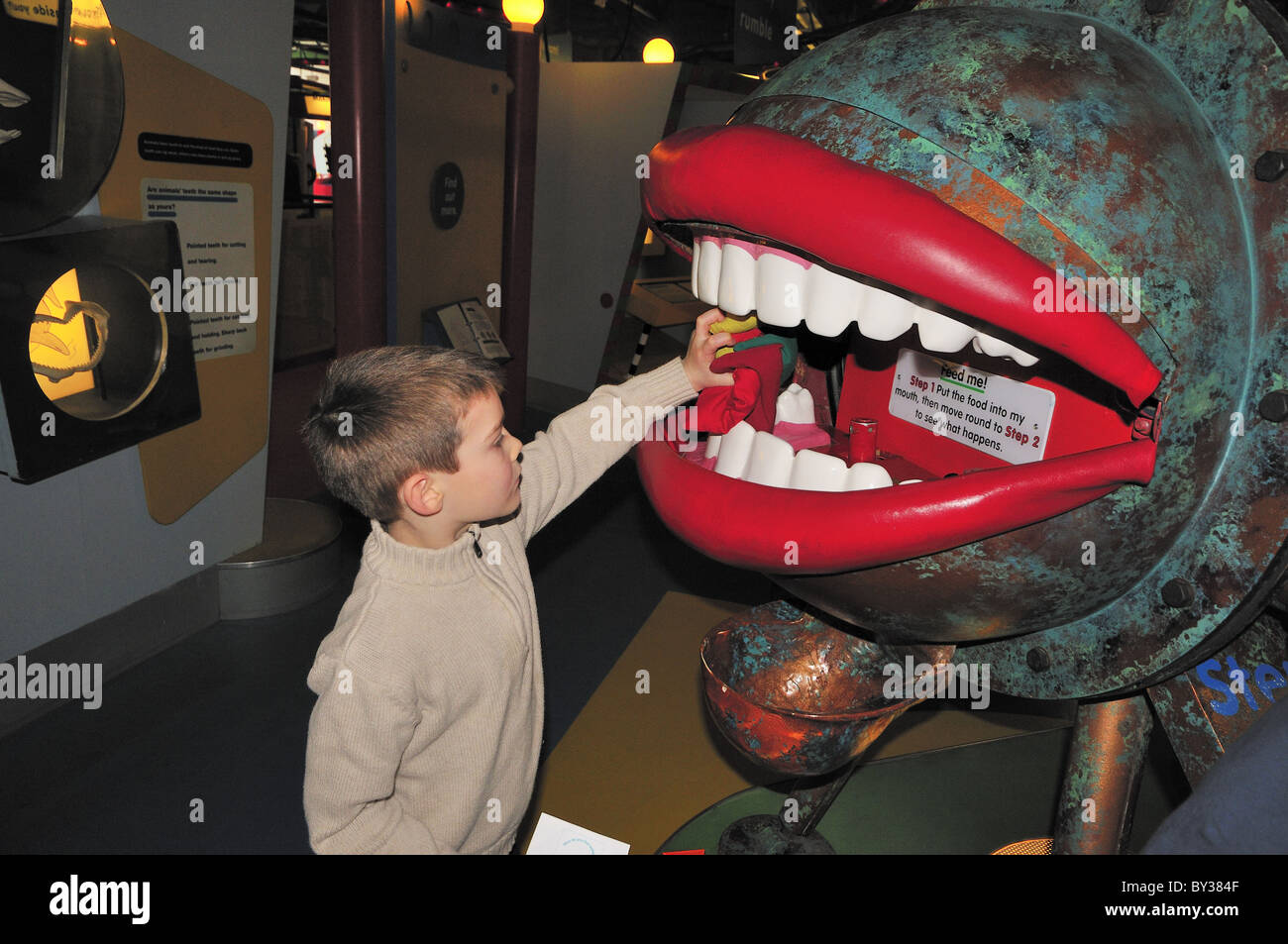 Child, playing exhibit digestive system Mouth Eureka Children's Museum Halifax,Yorkshire Stock Photo