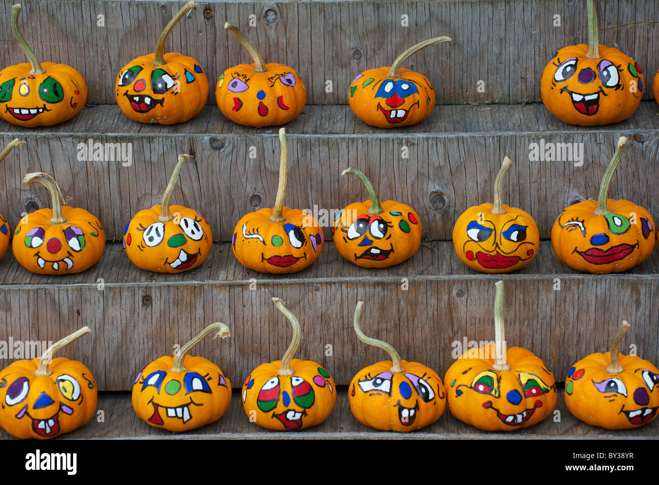 Display Of Decorated Halloween Pumpkins For Sale Stock Photo Alamy