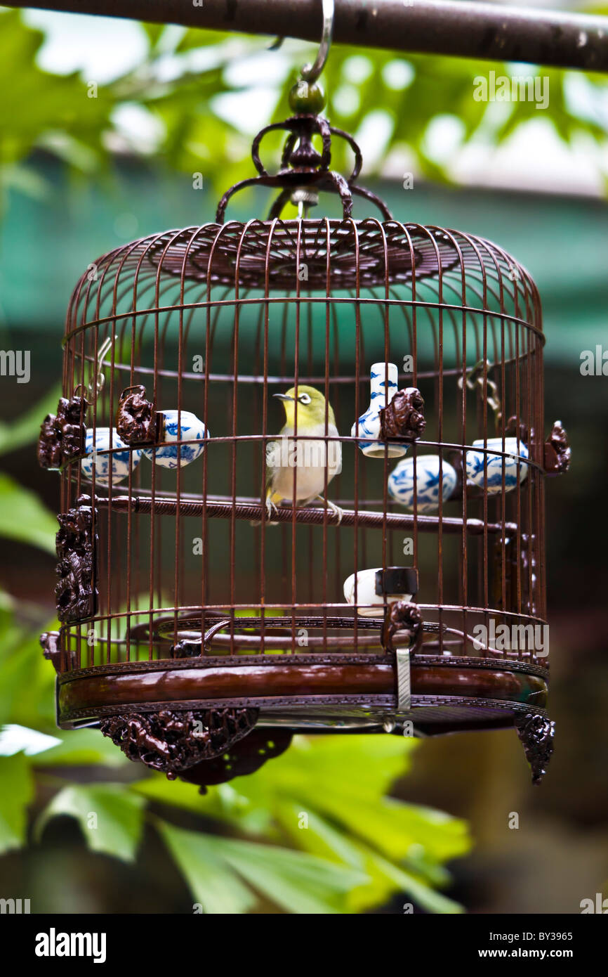 Bird in ornate cage in the Bird Market, Yuen Po Street, Nathan Road, Kowloon, Hong Kong. JMH4146 Stock Photo