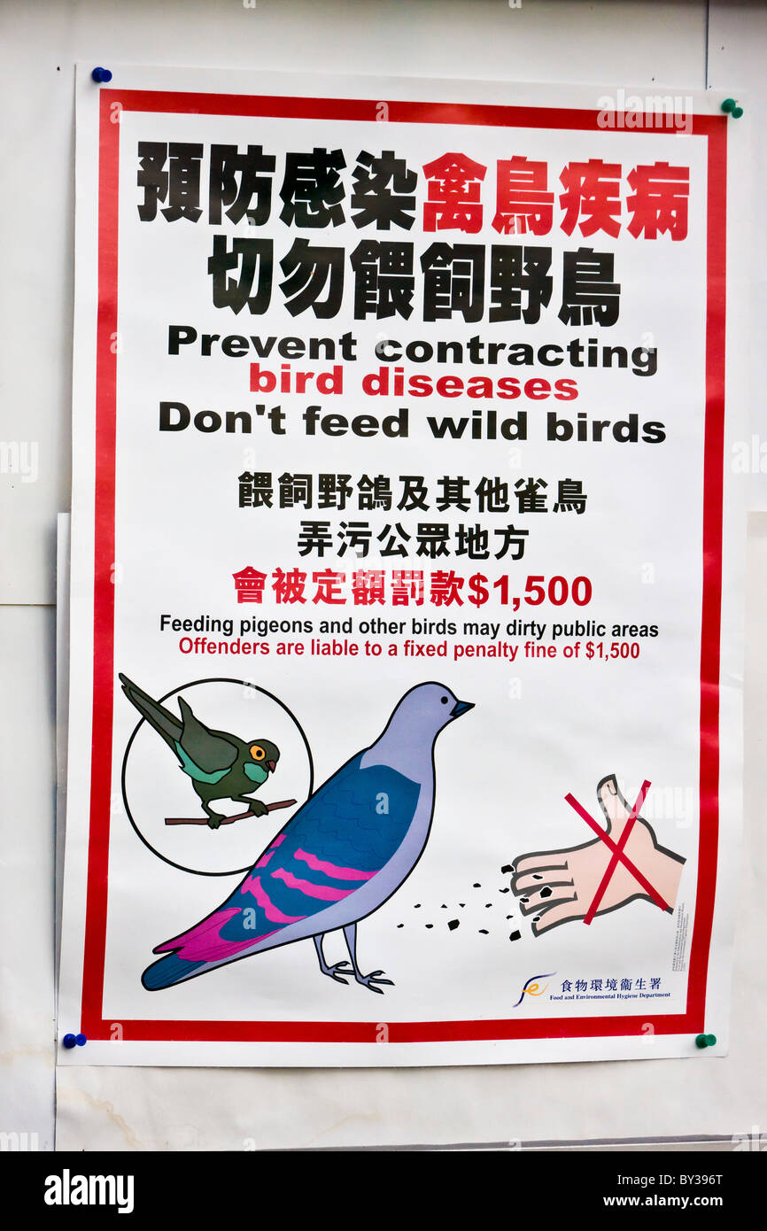 'Prevent contracting bird diseases' poster in the Bird Market, Yuen Po Street, Nathan Road, Kowloon, Hong Kong. JMH4147 Stock Photo