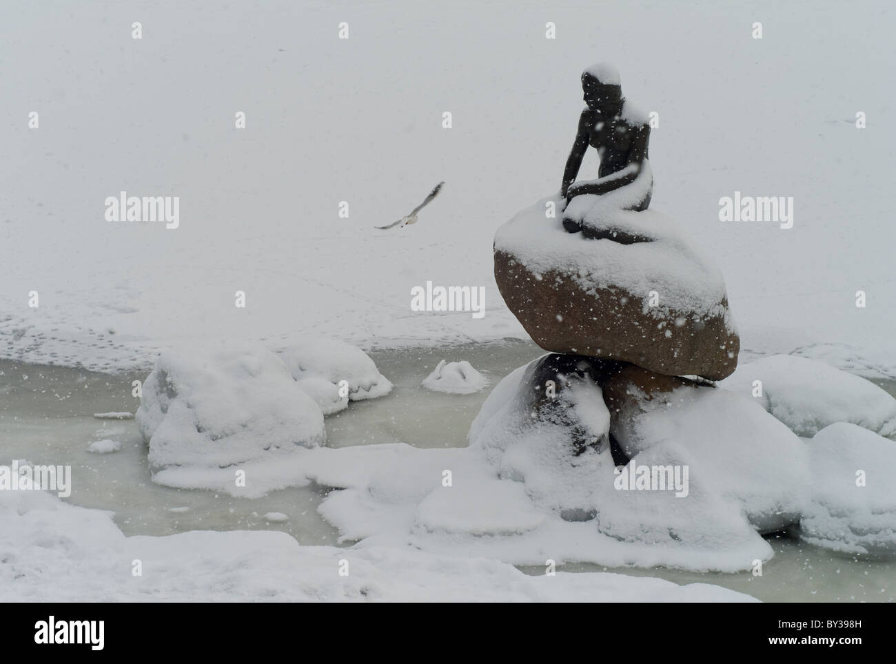 The Little Mermaid  bronze statue in Copenhagen, Denmark in winter, surrounded by ice and snow at Christmas time Stock Photo