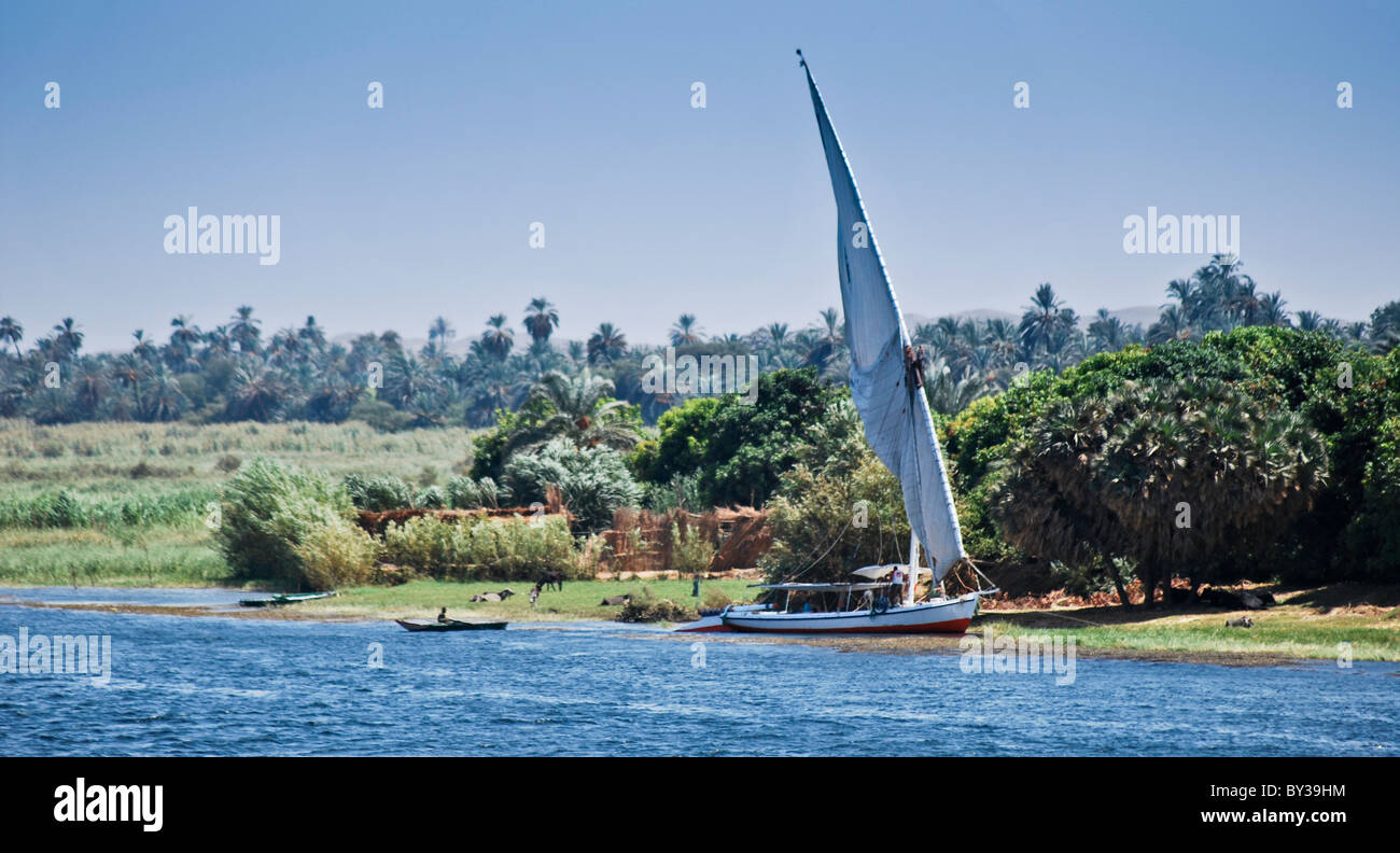 Image of the banks of the Nile river in Egypt Stock Photo Alamy