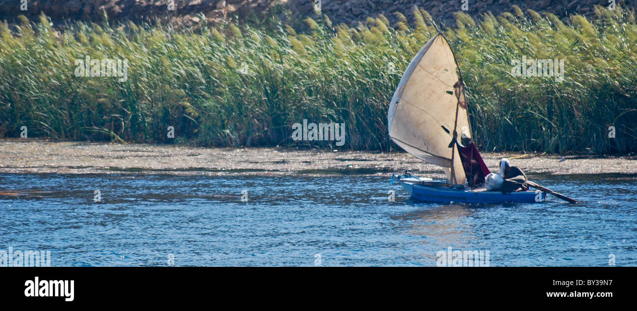 Image of the banks of the Nile river in Egypt Stock Photo Alamy
