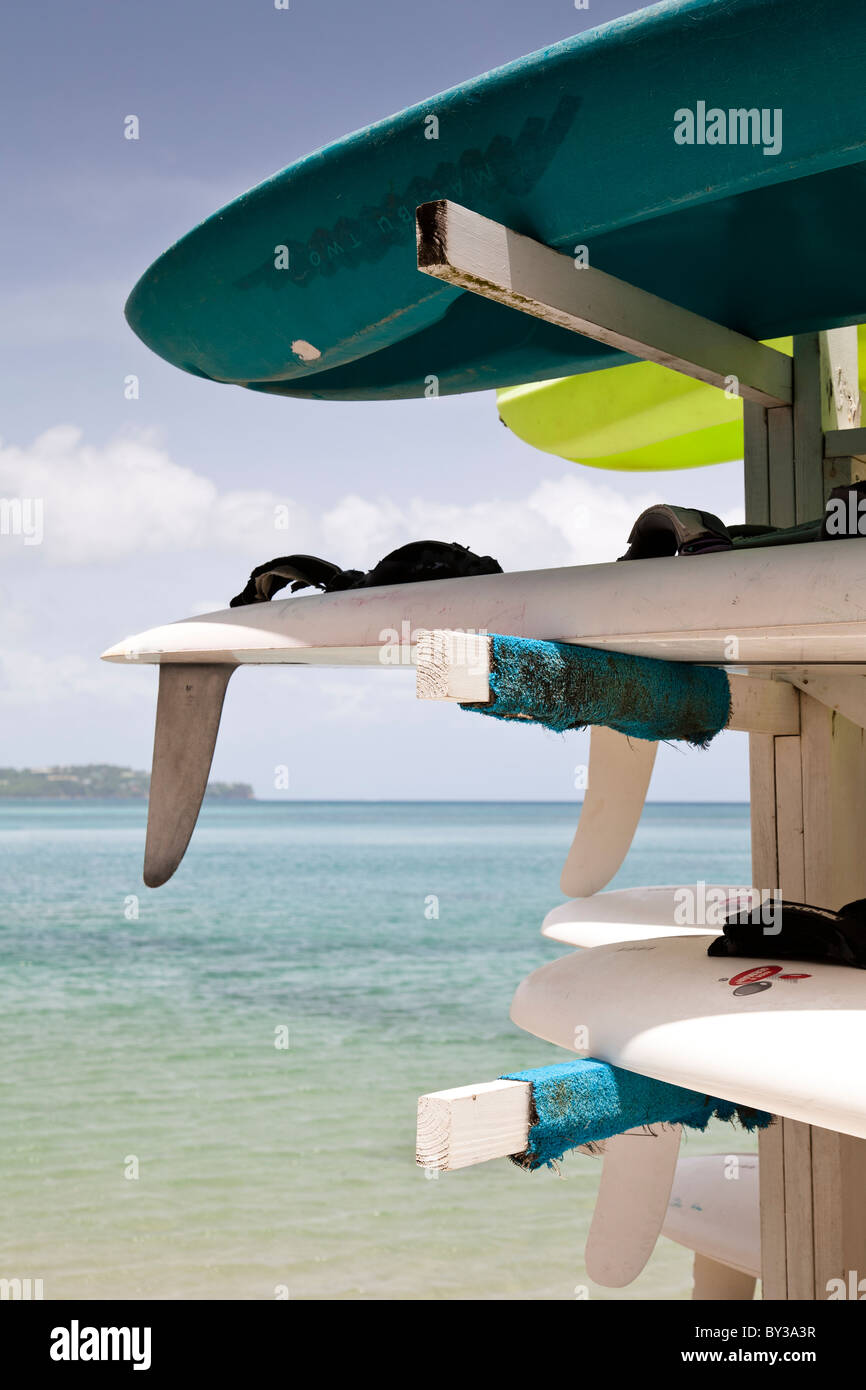 Rows of windsurf boards on the beach, St Lucia, West Indies. Stock Photo