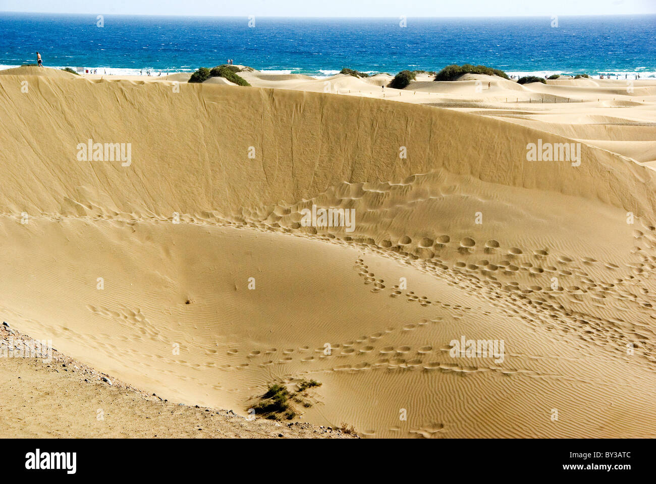 Maspalomas Sand Dunes Stock Photo