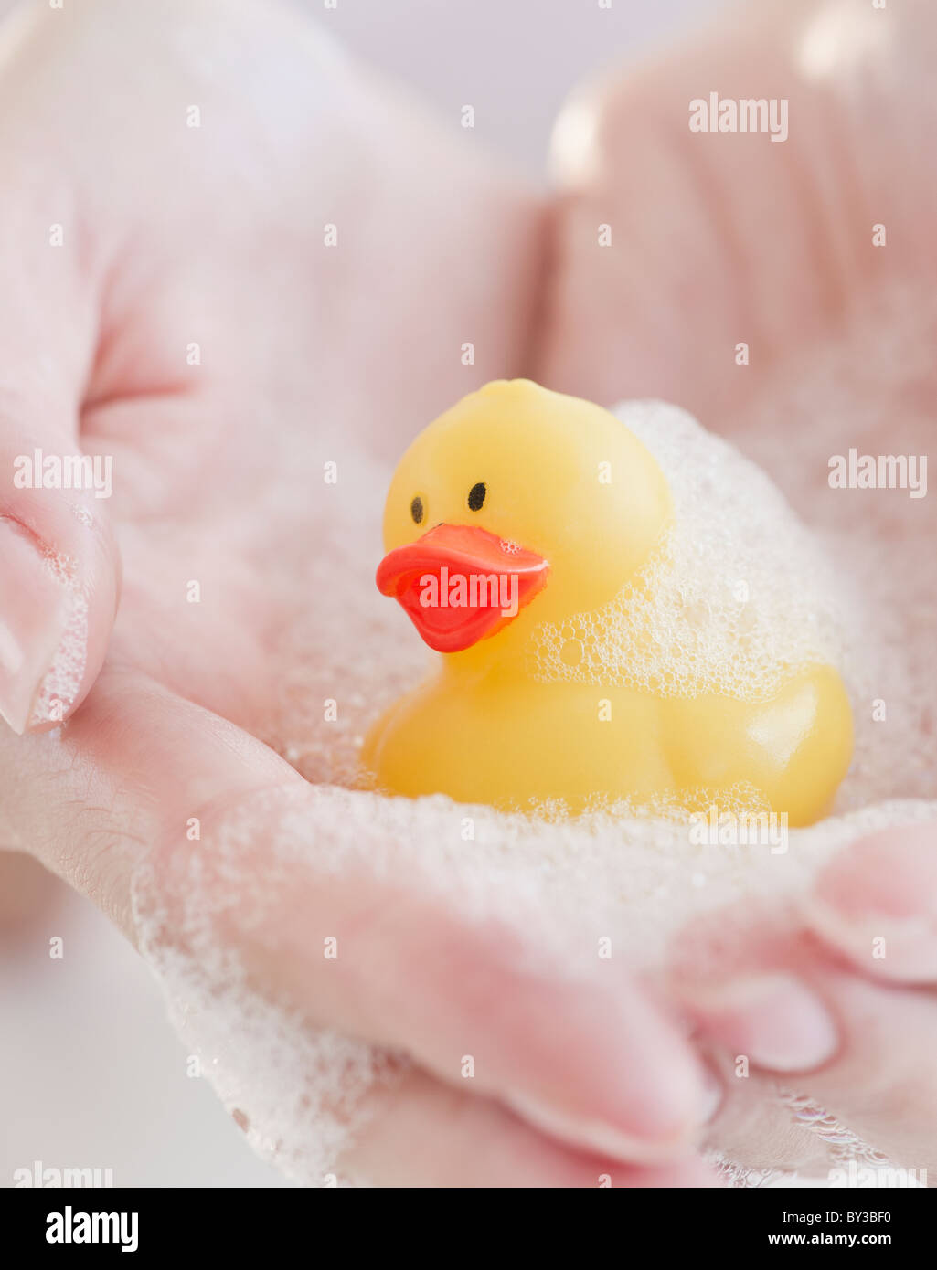 USA, New Jersey, Jersey City, Woman's hand covered with holding rubber duck Stock Photo