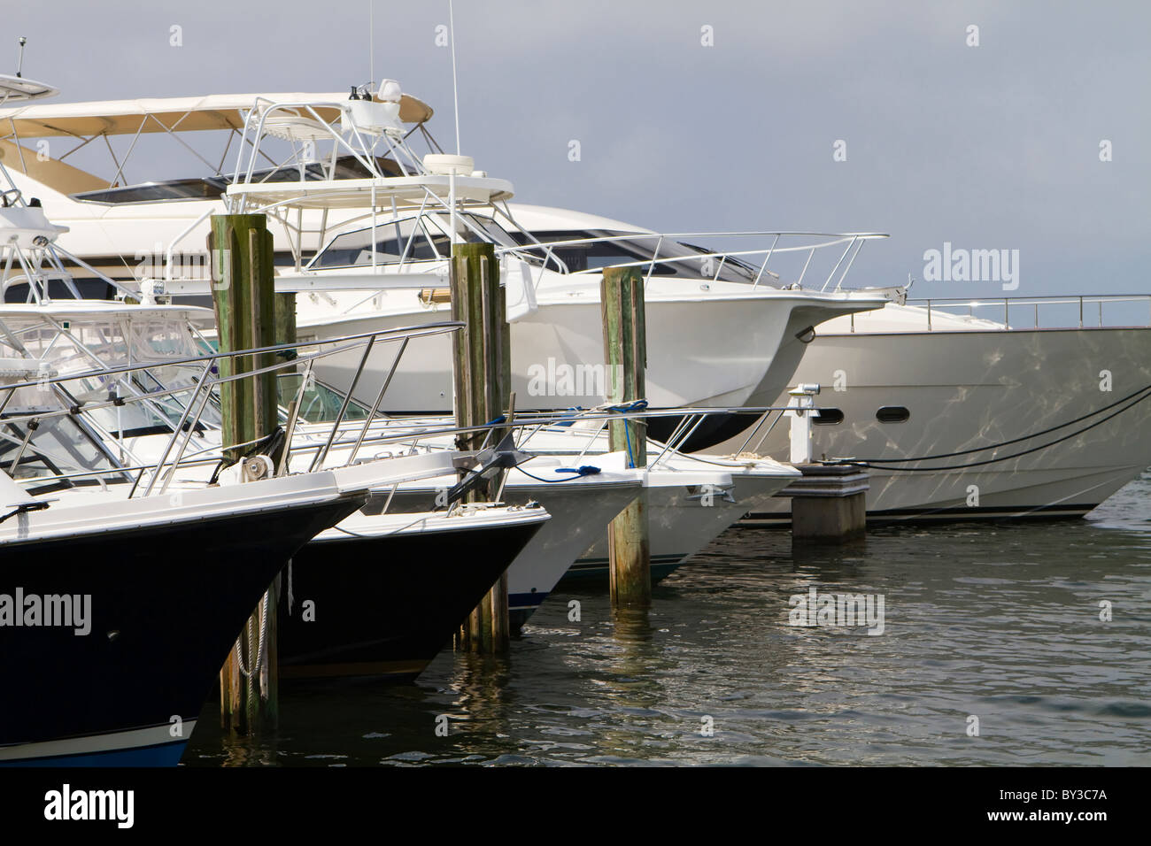 Row of luxury yachts and fishing charter boats line the docks. Stock Photo