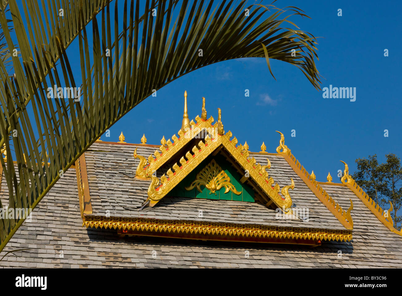 Roof detail, Tea Research Institute, Yunnan Province, Xishuangbanna, China. JMH4232 Stock Photo