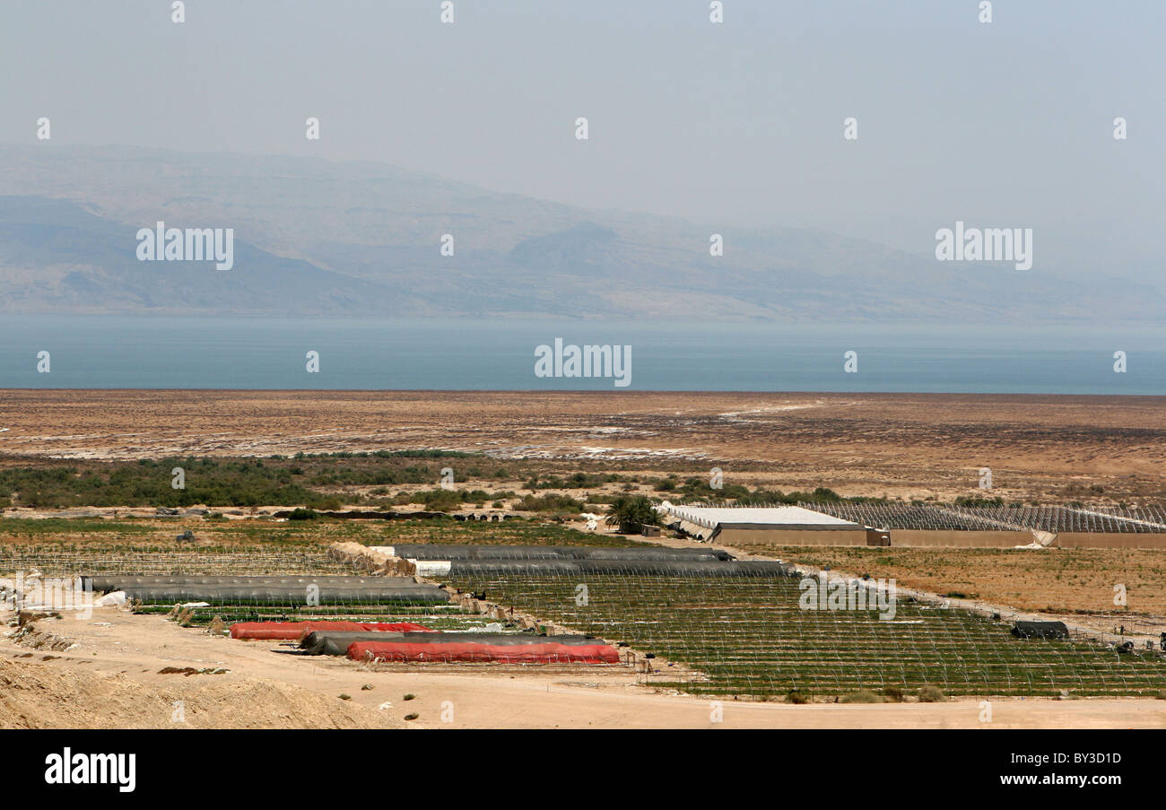 Farming in Israel takes place in the desert next to the Dead Sea Stock Photo