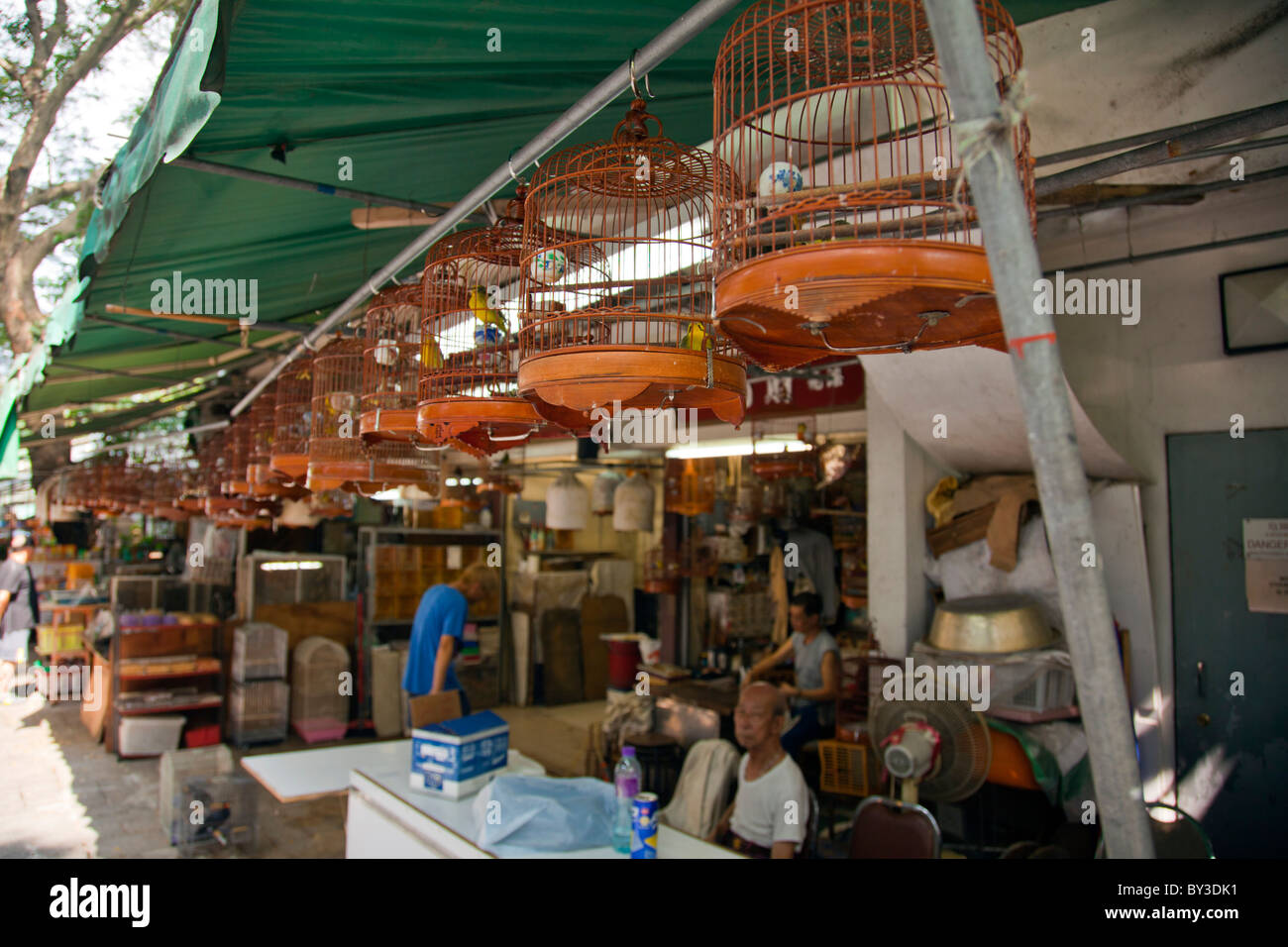 Kowloon, Hong Kong bird garden on Yuen Po Street, see the birds caged ready for sale or show Stock Photo