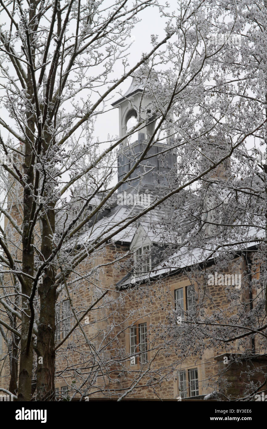 Winter tree's obscure the Blue House, Frome Stock Photo Alamy