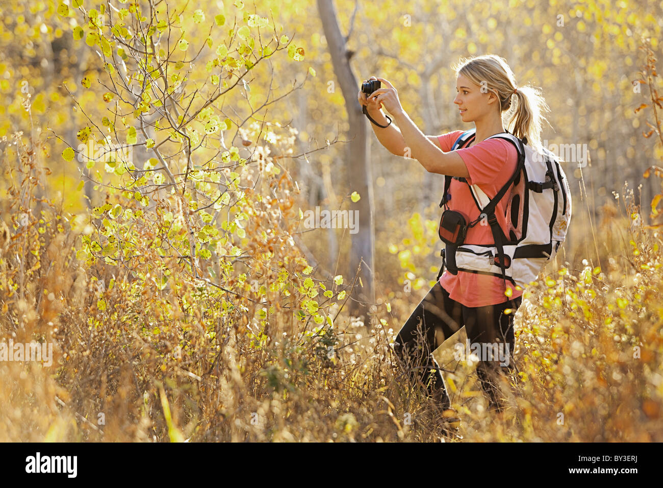 USA, Utah, young woman taking photograph in forest Stock Photo - Alamy