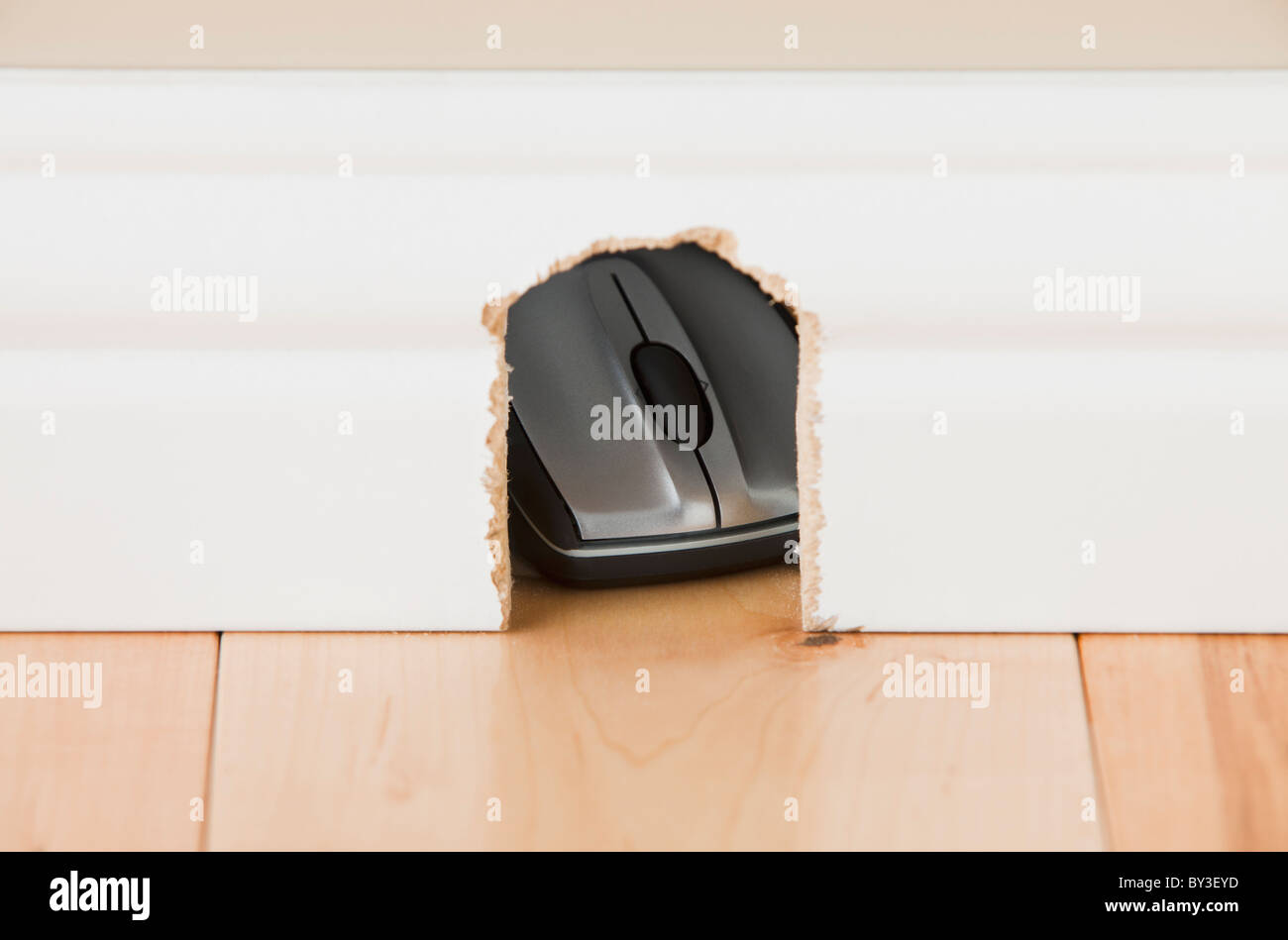 Computer mouse hidden in mouse hole Stock Photo Alamy