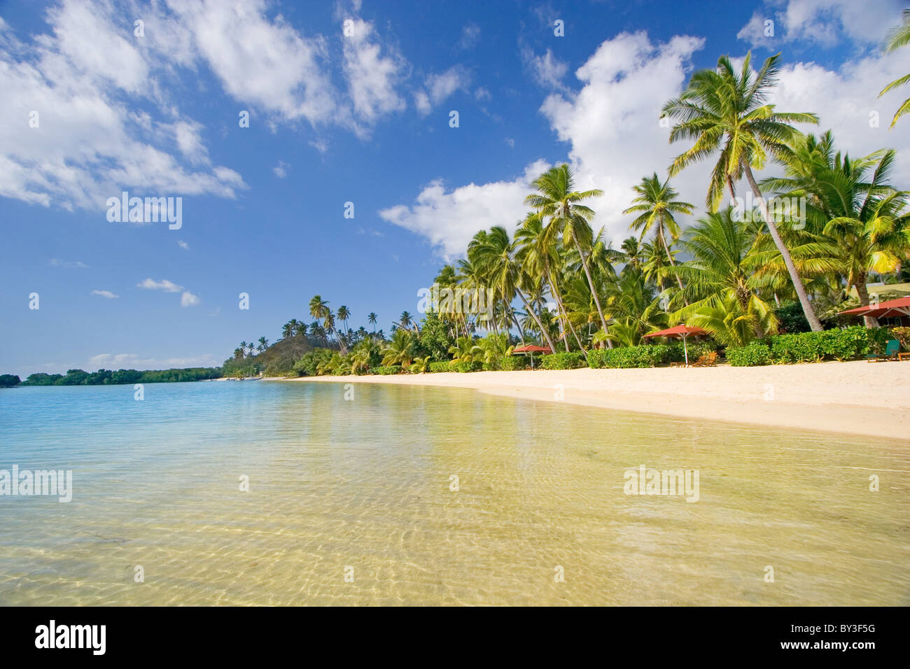 Clear water, white sandy beach and palm trees on a tropical island in Fiji Stock Photo
