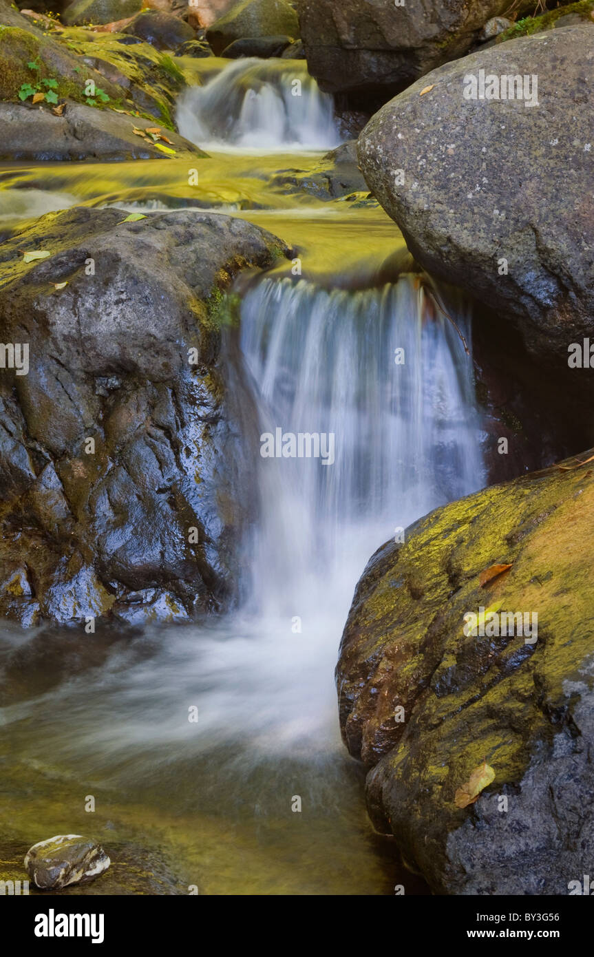 USA, Oregon, small waterfall Stock Photo