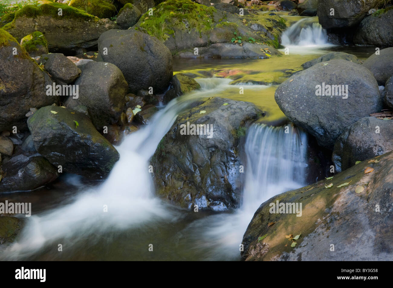 USA, Oregon, small waterfall Stock Photo