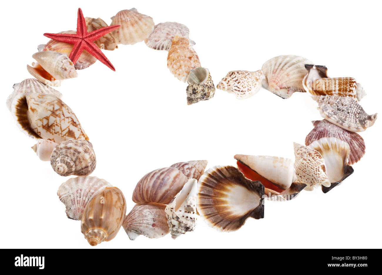 Shells in a shape of valentine's heart on a white Stock Photo
