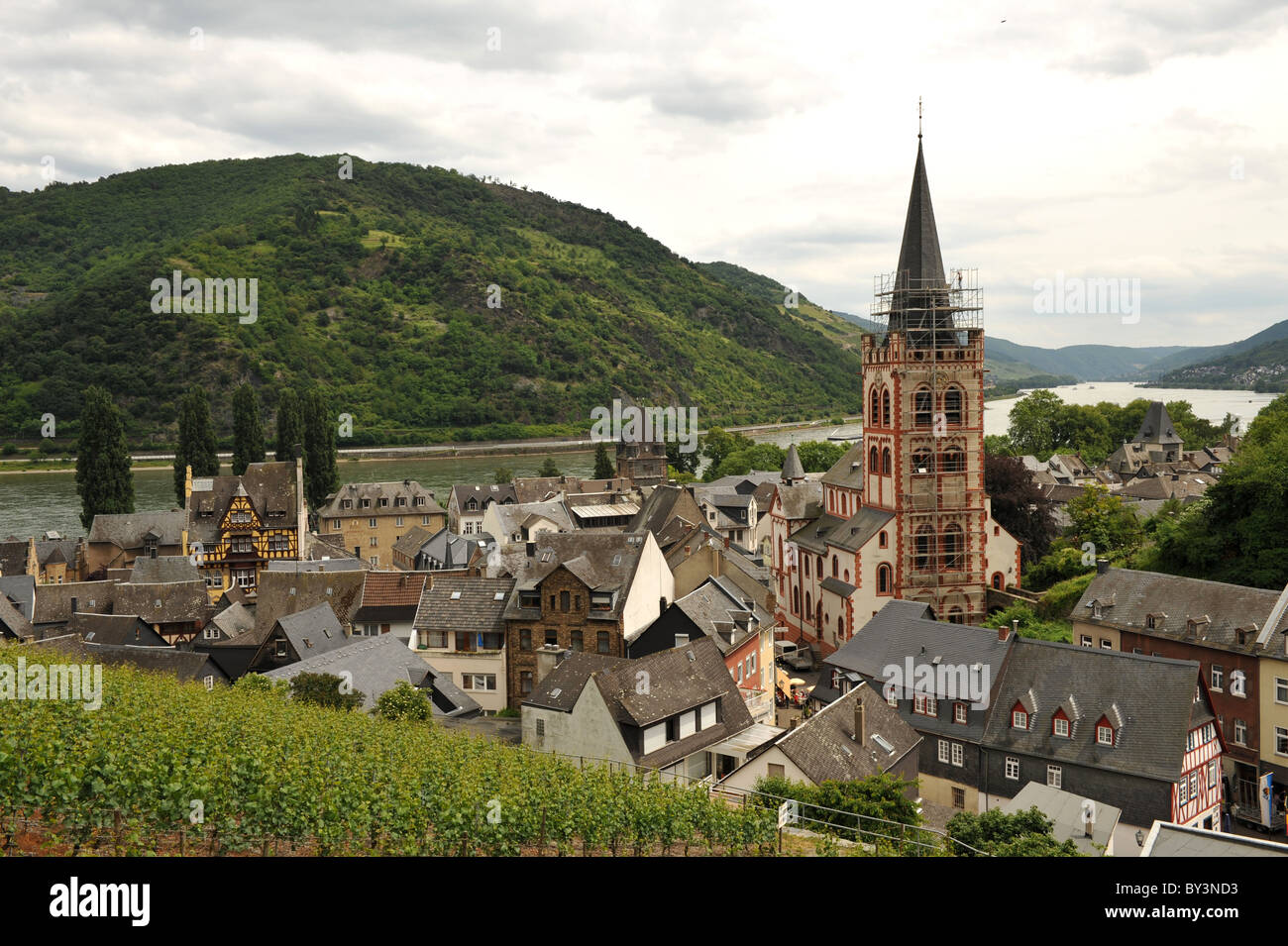 View towards the town of Bacharach and the River Rhine in Germany Stock Photo