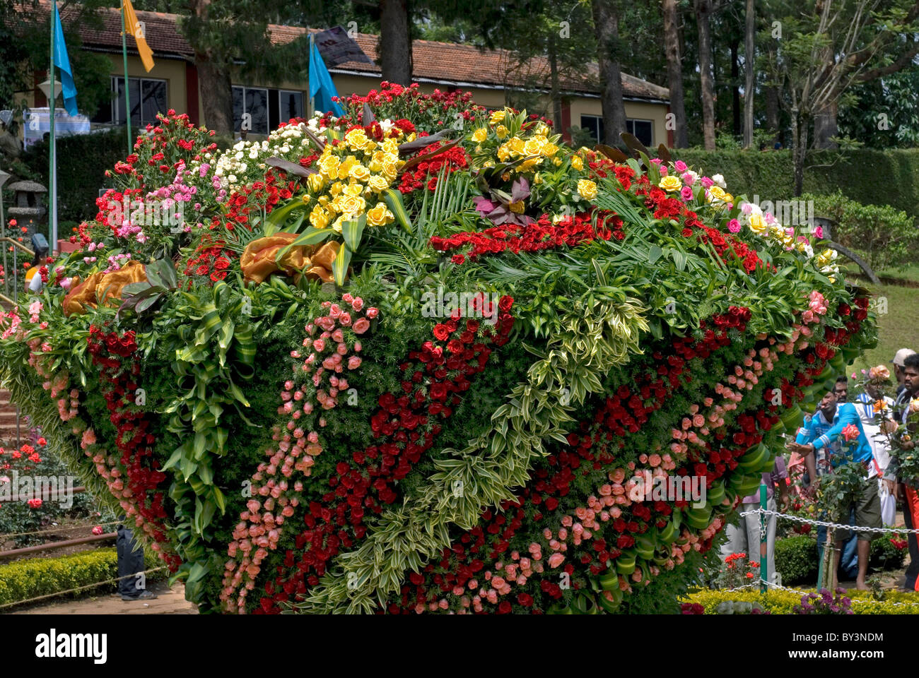 ROSE SHOW IN CENTENARY ROSE GARDEN IN OOTY TAMILNADU Stock Photo